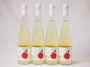 4本セット国産フルーツりんごワイン Cider 青森弘前産りんご使用 やや甘口 丹波ワイン (京都府) 500ml×4本