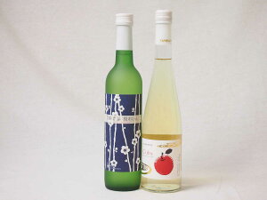 国産フルーツ甘口ワイン2本セット 京都青谷梅 丹波りんごワイン (京都府) 500ml×2本