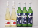 国産フルーツワイン5本セット Cider 青森弘前産りんご使用2本 梅ワイン 京都青谷 梅わいん 京都山城青谷産城州白梅わいん3本 やや甘口 丹波ワイン (京都...