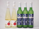 国産フルーツワイン5本セット Cider 青森弘前産りんご使用2本 梅ワイン 京都青谷 梅わいん 京都山城青谷産城州白梅わいん3本 やや甘口 丹波ワイン (京都府) 500ml×5本