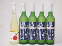 国産フルーツワイン5本セット Cider 青森弘前産りんご使用1本 梅ワイン 京都青谷 梅わいん 京都山城青谷産城州白梅わいん4本 やや甘口 丹波ワイン (京都...