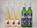 フルーツワイン 京都丹波フルーツワイン5本セット京都青谷梅わいん2本　Cider 青森弘前産りんご使用3本 計500ml×5本