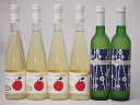 京都丹波フルーツワイン6本セット京都青谷梅わいん2本 Cider 青森弘前産りんご使用4本 計500ml×6本