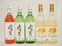 日本産葡萄100％おたるワイン6本セット 完熟ナイアガラ白2本 白2本 ロゼ1本 (北海道)720ml×6本