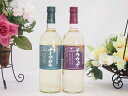 国産葡萄100%使用甲州甘口 辛口セット 日本ワイン 720ml×2本 盛田甲州ワイナリー(山梨県、長野県)