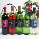 山梨県産葡萄100%使用甲州甘口2本 辛口2本 赤ワイン1本セット 720ml×5本 盛田甲州ワイナリー(山梨県)