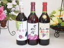 シャンモリスペシャル3本赤ワインセット　720ml×3本　盛田甲州ワイナリー【甘口赤わいん720m】盛田甲州ワイナリー（赤ワイン） 味わいの特徴 クエン酸の豊富な梅果汁をたっぷり使い、渋みを控えたやわらかな果実感あふれるすっきりとした口当たりの赤ワインです。 【おいしい甘口赤わいん720ml】 盛田甲州ワイナリー（赤ワイン） 味わいの特徴 コンコード種ぶどうを使った、甘くて美味しい酸化防止剤無添加の赤ワインです。 【からだにやさしい赤葡萄酒 赤ワイン 】ワイン産地である山梨県勝沼町「勝沼ワインバレー」にて仕込んだやさしい口当たり、渋みと甘みのバランスの取れた、どんな場面でも気軽に楽しめるワインです。生産者 盛田甲州ワイナリー 産地 [山梨県]　飲み頃温度 12-14度 ワインのタイプ ライトボディ 容量 720ml アルコール度数 11％シャンモリスペシャル3本赤ワインセット　720ml×3本　盛田甲州ワイナリー【甘口赤わいん720m】盛田甲州ワイナリー（赤ワイン） 味わいの特徴 クエン酸の豊富な梅果汁をたっぷり使い、渋みを控えたやわらかな果実感あふれるすっきりとした口当たりの赤ワインです。 【おいしい甘口赤わいん720ml】 盛田甲州ワイナリー（赤ワイン） 味わいの特徴 コンコード種ぶどうを使った、甘くて美味しい酸化防止剤無添加の赤ワインです。 【からだにやさしい赤葡萄酒 赤ワイン 】ワイン産地である山梨県勝沼町「勝沼ワインバレー」にて仕込んだやさしい口当たり、渋みと甘みのバランスの取れた、どんな場面でも気軽に楽しめるワインです。生産者 盛田甲州ワイナリー 産地 [山梨県]　飲み頃温度 12-14度 ワインのタイプ ライトボディ 容量 720ml アルコール度数 11％