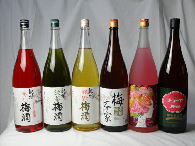 こんな梅酒福袋が欲しかったぁ　飲み比べ6本セット(中野BC 赤い梅酒 緑茶梅 酒 蜂蜜梅酒 中埜酒造 おばあちゃんの梅酒 中埜酒造 ローズ梅酒 チョーヤ梅酒）1800ml×6本