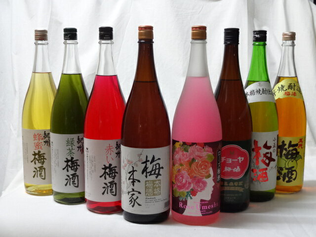 こんな梅酒福袋が欲しかったぁ　飲み比べ8本セット（中野BC 赤い梅酒 緑茶梅酒 蜂蜜梅酒　小正の梅酒 中埜酒造 おばあちゃんの梅酒 中埜酒造 ローズ梅酒 チョーヤ梅酒 五代梅酒） 1800ml×8本