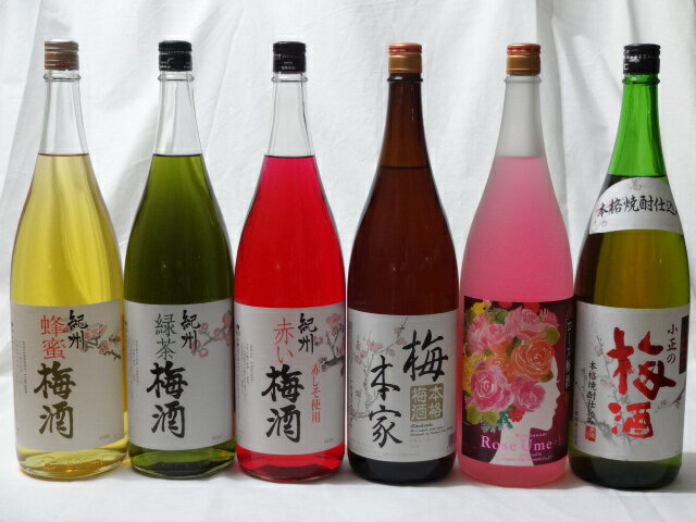 楽天スーパーセール/こんな梅酒福袋が欲しかったぁ　飲み比べ6本セット（中野BC 赤い梅酒 緑茶梅酒 蜂蜜梅酒 中埜酒造 おばあちゃんの梅酒 中埜酒造 ローズ梅酒 小正の梅酒）1800ml×6本