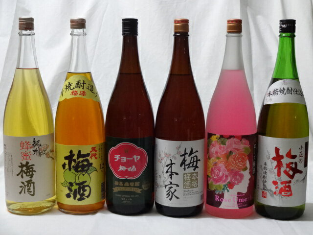 こんな梅酒福袋が欲しかったぁ　飲み比べ6本セット （中野BC 蜂蜜梅酒 五代梅酒 中埜酒造 おばあちゃんの梅酒 中埜酒造 ローズ梅酒 小正の梅酒 チョーヤ梅酒） 1800ml×6本