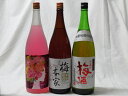 こんな梅酒福袋が欲しかったぁ 飲み比べ3本セット(中埜酒造 ローズ梅酒 中埜酒造 おばあちゃんの梅酒 小正の梅酒) 1800ml×3本