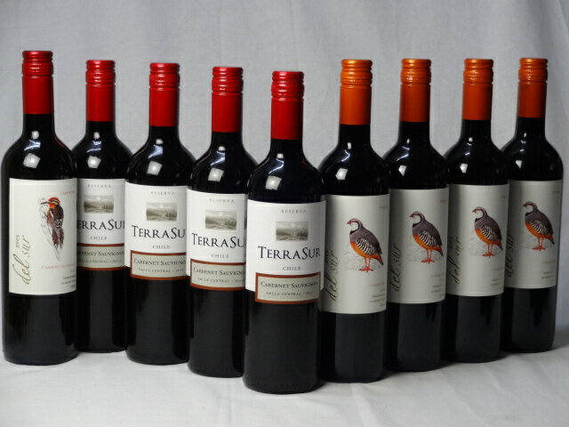 チリ赤ワイン9本セット デル・スール カベルネ・ソーヴィニヨン フルボディ1本 デル・スールカルメネール 4本 テラスル ミディアムボディ4本 750ml×9本