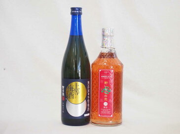 【キャッシュレス5％還元】リキュールおすすめ2本セット（本格梅酒・野いちごの恋） お歳暮 クリスマス