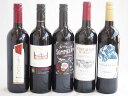 セレクション 赤ワイン 5本セット( スペインワイン 1本 フランスワイン 1本 イタリアワイン 1本 チリワイン 2本) 計750ml×5本