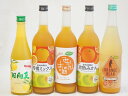 柑橘系のお酒特集 5本セット(みかんのお酒7度(愛知県) 紀州の梅酒と完熟みかん12度(和歌山県) 紀州の梅酒と柑橘ミックス12度(和歌山県) 高千穂日向夏14...