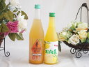 柑橘系のお酒特集 2本セット(高千穂日向夏14度(宮崎県) オレンジベアー7度(三重県)) 500ml×1本 720ml×1本