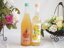 柑橘系のお酒特集 2本セット(高千穂日向夏14度(宮崎県) オレンジベアー7度(三重県)) 500ml×1本 720ml×1本