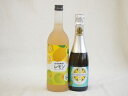 2本セット(紀州の梅酒とレモン12度(和歌山県) 薩摩スパークリングレモン8度(鹿児島県)) 720ml×1本 375ml×1本