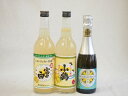 3本セット(薩摩スパークリングレモン8度(鹿児島県) レモンチュウハイの素 富士白25度(和歌山県) 小鶴 サワー専用 ゆずレモン25度(鹿児島県)) 375m...