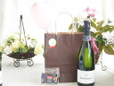 お誕生日ワインセット(モンムソー JMクレマン・デゥ・ロワール750ml フランス スパークリングワイン『神の雫』ワイン)メッセージカード ハート風船 ミニチョ...