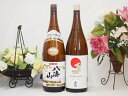 特選日本酒セット 八海山 金鯱 スペシャル2本セット（本醸造 極旨）1800ml×2本