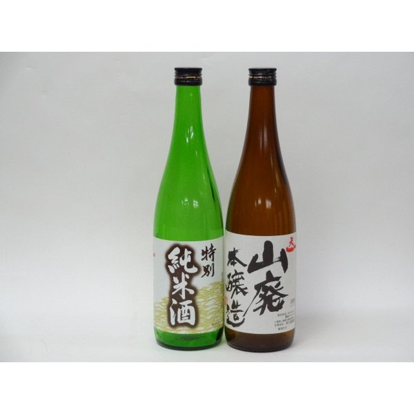 特選日本酒セット 天一 2本セット(特別純米 山廃本醸造）720ml×2本セット 早川酒造