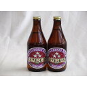 金鯱　ミツボシヴァイツェン330ml×2本