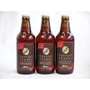 金しゃち IPA感謝ビール330ml×3本