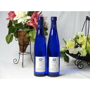 ワインセット シャンモリ甘口ワイン2本セット(ナイアガラ2本) 国産ぶどう100%使用 500ml×2本 盛田甲州ワイナリー(山
