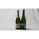 ワインセット 世界の甘口スパークリング白ワイン2本セット(天使のアスティ モンサラセミセコ) 750ml×2本(イタリア スペイ