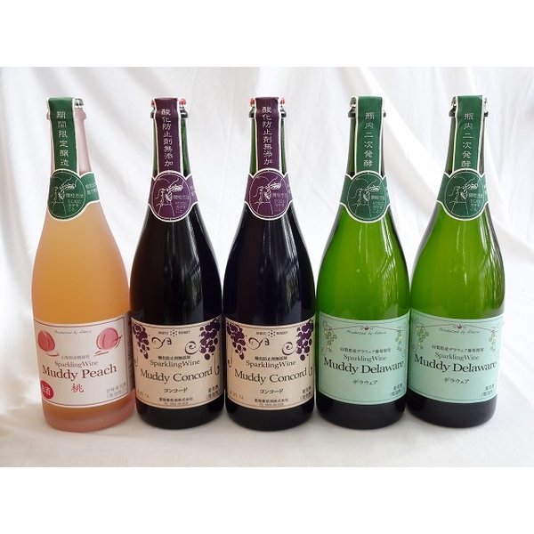 楽天贈り物本舗じざけや【最大2000円オフクーポン27日1:59迄】ワインセット スパークリングワイン5本セット マディデラウェア（デラウェア）×2本 マディルージュ（ルージュ）×2本 マディ