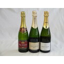 スパークリングワイン白辛口豪華3本セット ハウメ・セラ ブリュット スペインスパークリングワイン750ml・エレタット・エル・パ