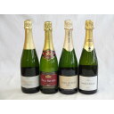 スパークリングワイン白辛口豪華4本セット ハウメ・セラ ブリュット スペインスパークリングワイン750ml・エレタット・エル・パ
