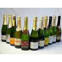 スパークリングワイン白辛口豪華11本セット(エレタット・エル・パドルウェル カヴァ ブリュット 白(スペイン) 辛口750ml・