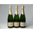 ワインセット スパークリングワイン辛口3本セット ハウメ・セラ ブリュット スペインスパークリングワイン750ml×3本