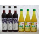 果実リキュール6本セット 紀州産 南高梅使用ブルーベリー梅酒 500ml(和歌山)×3本 高千穂酒造 宮崎産日向夏みかん使用 日