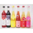 果実リキュール6本セット 紀州産 南高梅使用ブルーベリー梅酒 500ml(和歌山)・いちご梅酒 500ml(和歌山)・篠崎