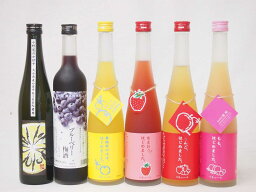 果実リキュール6本セット 紀州産 南高梅使用ブルーベリー梅酒 500ml（和歌山）かぼす(大分県)ゆず梅酒あまおう梅酒りんご梅酒桃梅酒(福岡県)