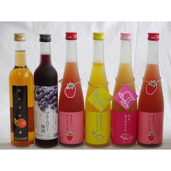 果実リキュール6本セット 紀州産 南高梅使用ブルーベリー梅酒 500ml（和歌山）・濱田酒造 摘みたて杏 500ml（鹿児島）