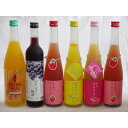 果実リキュール6本セット 紀州産 南高梅使用ブルーベリー梅酒 500ml(和歌山)・元坂酒造 日本酒オレンジ(三重県) ・篠崎