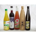 果実リキュール5本セット 紀州産 南高梅使用ブルーベリー梅酒 500ml(和歌山)・高千穂酒造 宮崎産日向夏みかん使用 日向夏