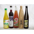 果実リキュール5本セット 紀州産 南高梅使用ブルーベリー梅酒 500ml（和歌山）・高千穂酒造 宮崎産日向夏みかん使用 日向夏