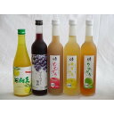 果実リキュール5本セット 紀州産 南高梅使用ブルーベリー梅酒 500ml(和歌山)・高千穂酒造 宮崎産日向夏みかん使用 日向夏