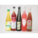 果実リキュール5本セット 紀州産 南高梅使用ブルーベリー梅酒 500ml(和歌山)・高千穂酒造 宮崎産日向夏みかん使用 日向夏