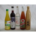 果実リキュール5本セット 紀州産 南高梅使用ブルーベリー梅酒 500ml(和歌山)・高千穂酒造 宮崎産日向夏みかん使用 日向夏