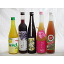 果実リキュール5本セット 紀州産 南高梅使用ブルーベリー梅酒 500ml(和歌山)・高千穂酒造 宮崎産日向夏みかん使用 日向夏