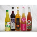 果実リキュール5本セット 紀州産 南高梅使用ブルーベリー梅酒 500ml(和歌山)・高千穂酒造 宮崎産日向夏みかん使用 日向夏