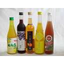 果実リキュール5本セット 紀州産 南高梅使用ブルーベリー梅酒 500ml(和歌山)・高千穂酒造 宮崎産日向夏みかん使用 日向夏