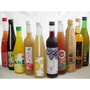 果実リキュール10本セット 紀州産 南高梅使用ブルーベリー梅酒 500ml（和歌山）・高千穂酒造 宮崎産日向夏みかん使用 日向夏